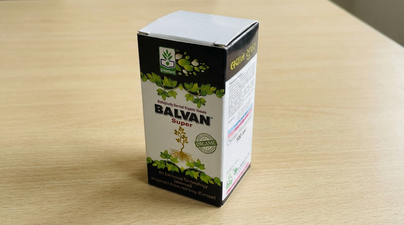 Packaging_202602251128 (1)